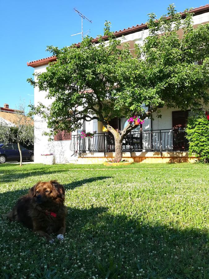 Villa Nina Poreč Zewnętrze zdjęcie